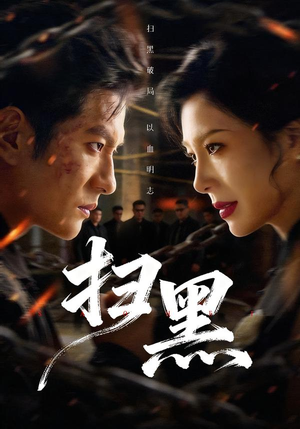 【扫黑】70集精彩短剧免费赏看