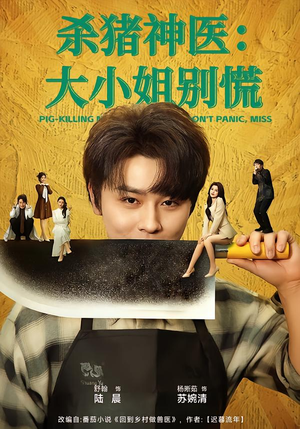 【杀猪神医，大小姐别慌】80集短剧免费全集在线赏看