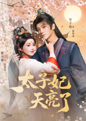【太子妃天亮了】80集短剧全网免费观看