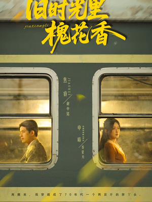 【旧时光里槐花香】70集短剧免费高清在线看