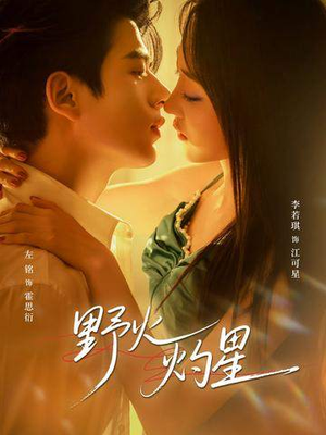 【野火灼星】56集免费短剧在线高清观看