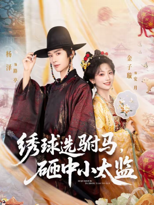 【绣球选驸马，砸中小太监】81集短剧完整版在线观看