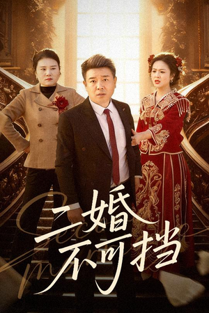 【二婚不可挡】36集短剧全集高清在线观看