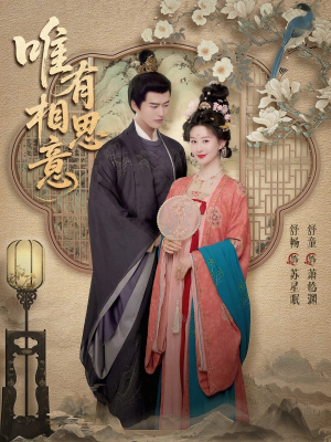 唯有相思意（100集）在哪个平台看