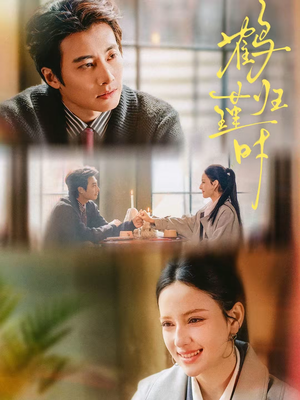 鹤归瑾时（81集）在线看完整版