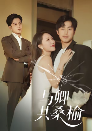 与卿共桑榆（63集）爆火短剧追不停