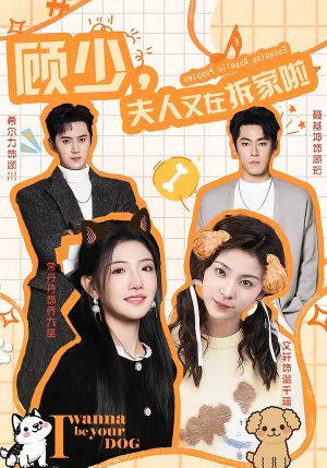 顾少，夫人又在拆家啦（78集）免费短剧片段